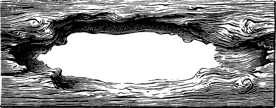 Vintage 1950s woodcut style ornamental frame illustration for design projects. vector
