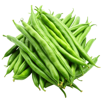 Healthy green beans on Transparent Background, vibrant and fresh, perfect for a nutritious addition to any meal png