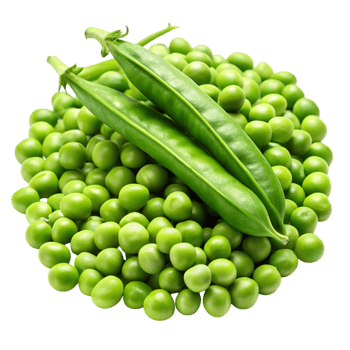 Freshly harvested green peas and pods arranged on Transparent Background, highlighting vibrant color and natural crispness png