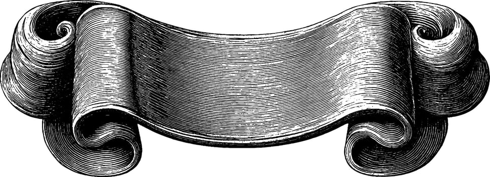 Vintage engraved scroll banner with curl for decorative design. vector