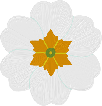 Primrose Flower Oil Paint Doodle png