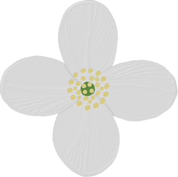 Syringa Flower Oil Paint Doodle png