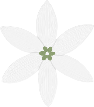Tuberose Flower Oil Paint Doodle png