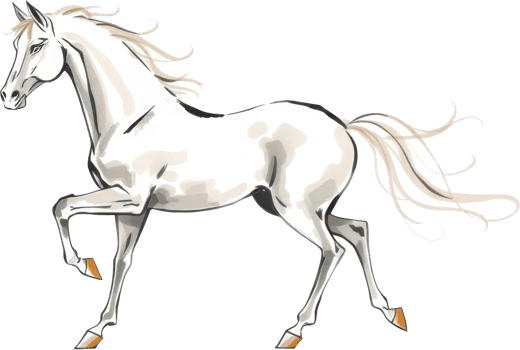 Elegant white horse illustration with flowing mane and tail, showcasing graceful pose. png