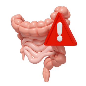 3d Intestines with exclamation mark isolated. danger warning concept, 3d illustration render png