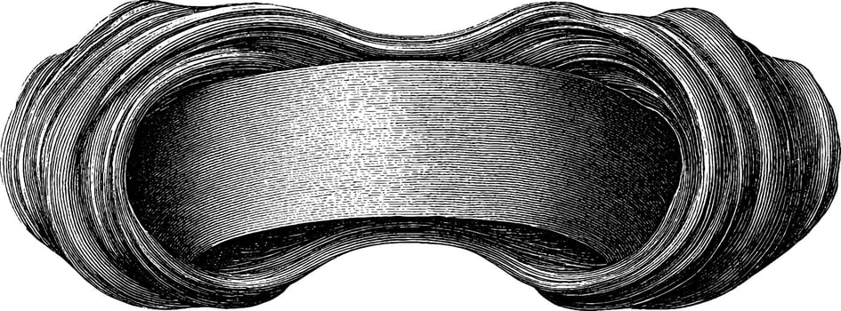 Intricate abstract swirl pattern engraving for decor and design projects. vector