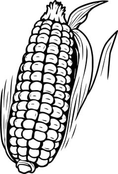 Corn on the cob coloring pages vector