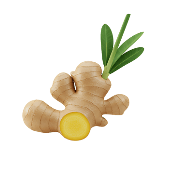 3D Ginger Icon - Fresh Root Spice Illustration png