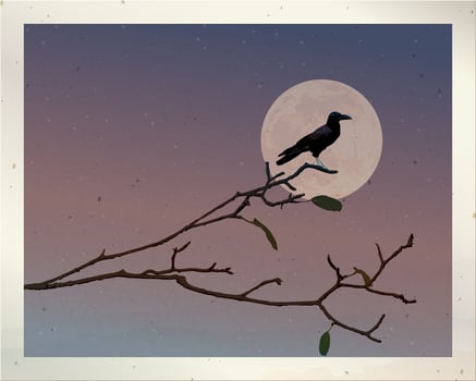 Old photograph of silhouette crow perched on a leafless branch have full moon and dramatic sky background fade condition graphic illustration have blank space. vector