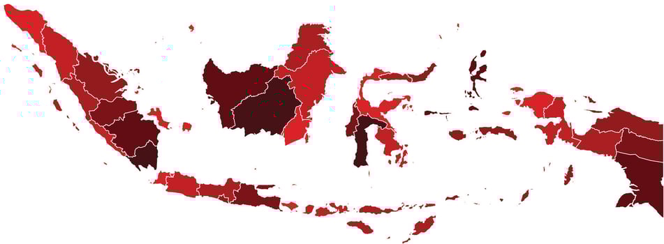 Indonesia Maps with Red Monochrome Color for District Borders Asian Country vector