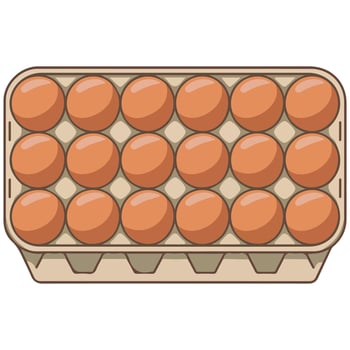 chicken eggs box farm product isolated illustration on white background vector