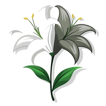 Half shadow lily with light and dark contrast illustration modern floral vector
