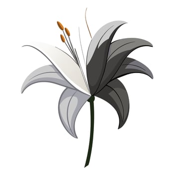 Modern lily with half illuminated design illustration light and shadow vector