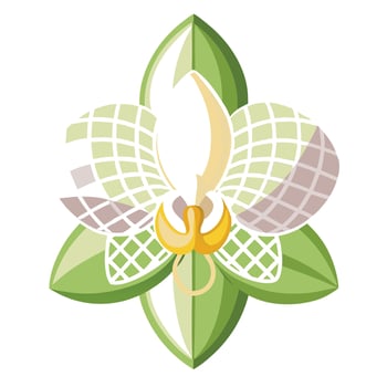 Orchid with lattice petal design illustration modern floral art vector