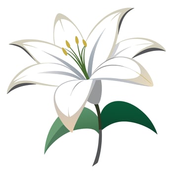 Elegant negative space lily featuring its abstract floating outline in design vector