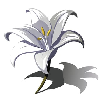 Elegant negative space lily featuring its subtle shadow outline in design vector