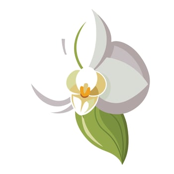 Unique ripple petal orchid highlighting its flowing wavy form in graphic vector