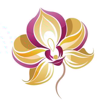 Wave petal orchid with flowing lines illustration elegant floral art vector