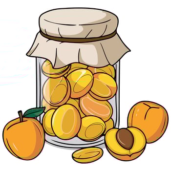apricot jam jar fresh fruit isolated illustration on white background vector