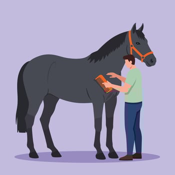 Horse grooming scene with a person using a brush in minimal art vector