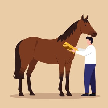Horse grooming scene in flat design style featuring a person and horse art vector