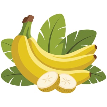 sweet bananas half whole exotic isolated illustration on white background vector