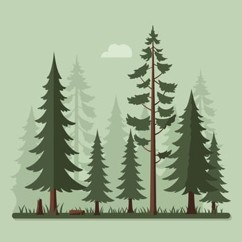 Tall evergreen trees in a serene landscape with flat art style illustration vector