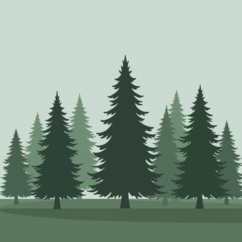 Tall evergreen trees in a serene landscape, minimal design art vector
