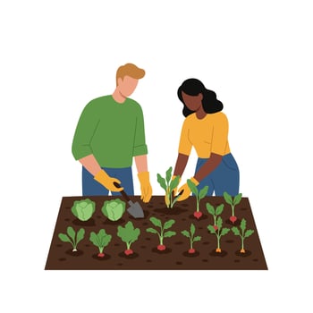 Two people planting vegetables in a garden with flat design art vector