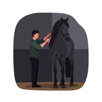 Person grooming a black horse in flat and minimal art vector