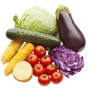 Freshly harvested vegetables featuring potatoes, cabbage, tomatoes, corn, cucumber, and eggplant in a vibrant display, Ripe vegetables potatoes, cabbage, tomatoes, corn, cucumbers png