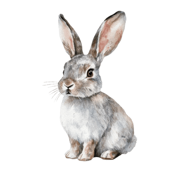 Cute rabbit sitting on a Transparent background with soft fur and gentle expression, showcasing its adorable features, rabbit isolated on background png
