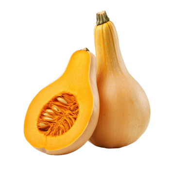 Half butternut squash on a white background showcasing its vibrant orange flesh and smooth skin, half butternut squash isolated on white background png