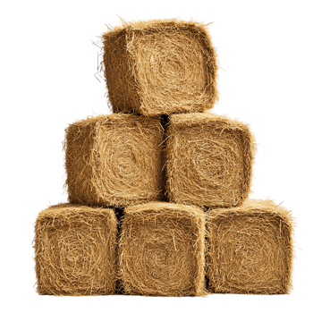 Stacked Hay Bales on Plain Background png