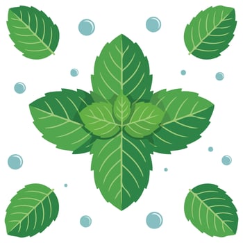 Fresh mint leaves with water isolated illustration on white background vector