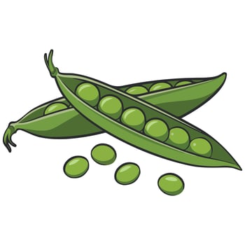 Colorful peas vegetable set isolated illustration on white background vector