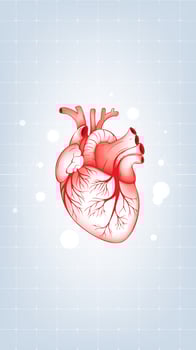 Medical health vertical illustration red heart electrocardiogram vector