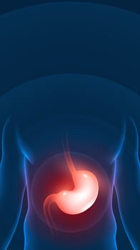 Medical health vertical illustration human stomach highlighting reminder vector