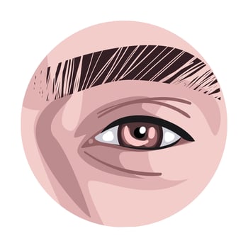 Brown Eye in the Circle, Part of Male or Female Face Illustration vector