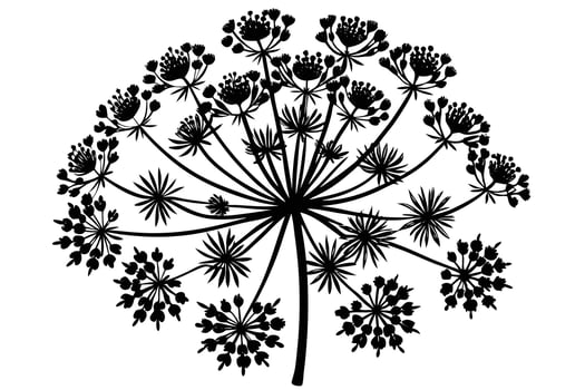 Elegant Black and White Silhouette of a Wildflower vector