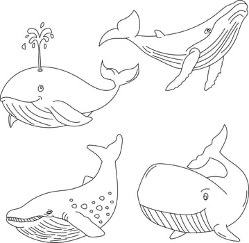 Cartoon Whale Clipart Illustrations vector