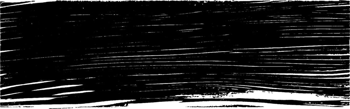 Vintage woodcut illustration showcasing a worn-out leather surface with intricate details vector
