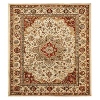 Ornate Persian style area rug with intricate floral patterns and rich colors, perfect for elegant home decor png