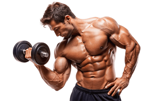Muscular man performing bicep curls with dumbbells for arm strength png