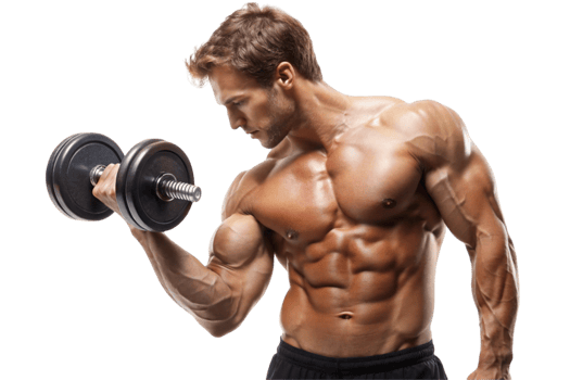 Defined muscles on a bodybuilder during bicep training with weights png
