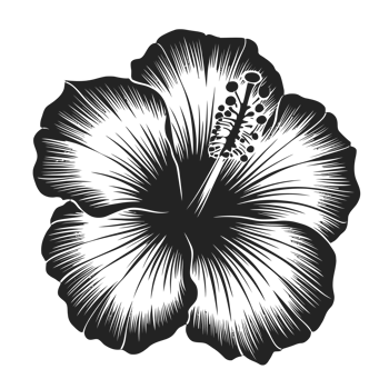 A bold black hibiscus flower design highlights intricate petal details and stamen structure. png