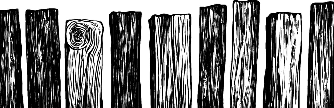 Detailed vintage woodcut illustration showcasing various wooden forms and textures from nature vector