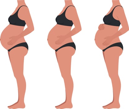 Three pregnant women in profile showcasing different stages of pregnancy in flat illustration vector