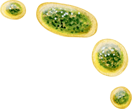 Watercolor hand drawn realistic green sauce drops png