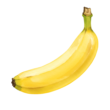 A Watercolor yellow banana with a green stem isolated on a plain surface in a studio setting view on transparent background png